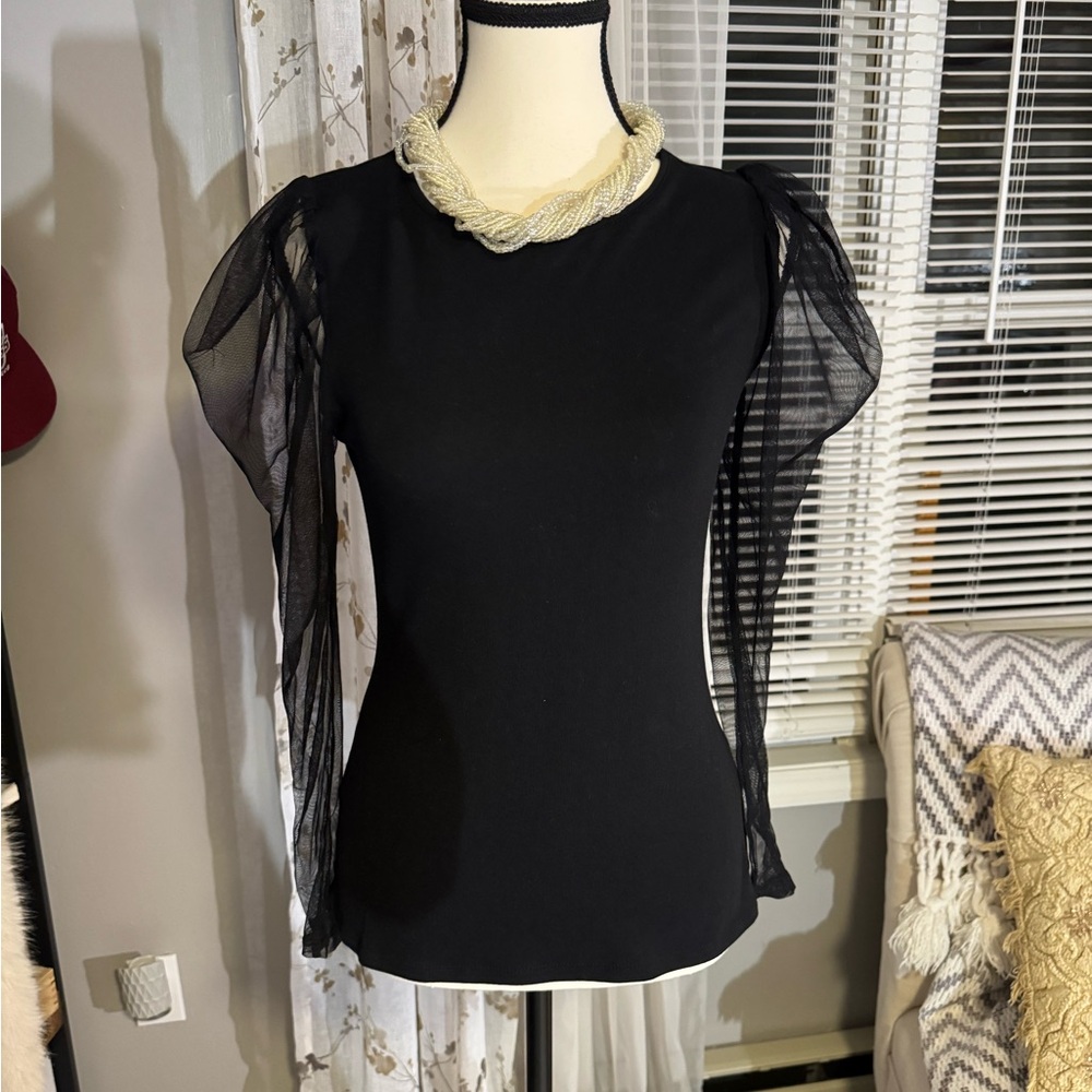 Elegant Black Top with Sheer Sleeves